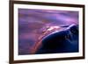 Evening Rock-Ursula Abresch-Framed Photographic Print