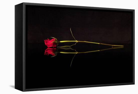 Evening Romace II-Monika Burkhart-Framed Stretched Canvas