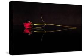 Evening Romace II-Monika Burkhart-Stretched Canvas