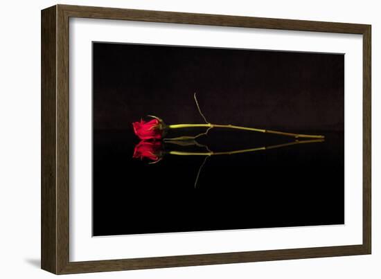 Evening Romace II-Monika Burkhart-Framed Photographic Print