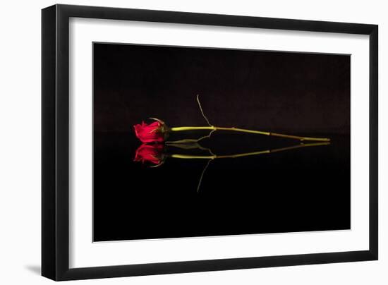 Evening Romace II-Monika Burkhart-Framed Photographic Print