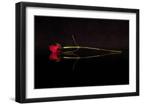 Evening Romace II-Monika Burkhart-Framed Photographic Print