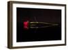 Evening Romace II-Monika Burkhart-Framed Premium Photographic Print