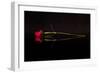 Evening Romace II-Monika Burkhart-Framed Premium Photographic Print