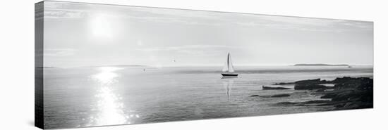 Evening Sail Black and White Crop-Sue Schlabach-Stretched Canvas