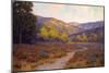 Evening Santa Barbara-John Gamble-Mounted Art Print