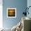 Evening Serenity-Adrian Campfield-Framed Photographic Print displayed on a wall