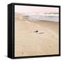 Evening Shadow-Emily Navas-Framed Stretched Canvas