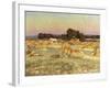 Evening Shadows-Viggo Pedersen-Framed Giclee Print