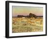 Evening Shadows-Viggo Pedersen-Framed Giclee Print