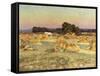 Evening Shadows-Viggo Pedersen-Framed Stretched Canvas