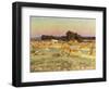 Evening Shadows-Viggo Pedersen-Framed Giclee Print