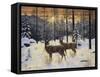 Evening Silence-Jeff Tift-Framed Stretched Canvas