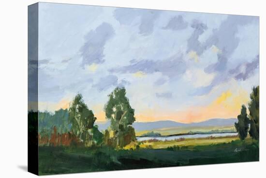 Evening Skies I-Pamela Munger-Stretched Canvas
