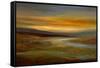 Evening Sky-Sheila Finch-Framed Stretched Canvas