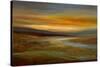 Evening Sky-Sheila Finch-Stretched Canvas