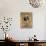 Evening Splendour-Bridget Davies-Stretched Canvas displayed on a wall