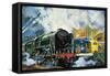 Evening Star, the Last Steam Locomotive and the New Diesel-Electric Deltic-Harry Green-Framed Stretched Canvas