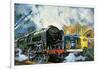 Evening Star, the Last Steam Locomotive and the New Diesel-Electric Deltic-Harry Green-Framed Giclee Print