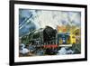 Evening Star, the Last Steam Locomotive and the New Diesel-Electric Deltic-Harry Green-Framed Giclee Print