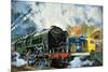 Evening Star, the Last Steam Locomotive and the New Diesel-Electric Deltic-Harry Green-Mounted Giclee Print