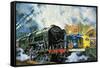 Evening Star, the Last Steam Locomotive and the New Diesel-Electric Deltic-Harry Green-Framed Stretched Canvas