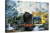 Evening Star, the Last Steam Locomotive and the New Diesel-Electric Deltic-Harry Green-Stretched Canvas