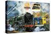 Evening Star, the Last Steam Locomotive and the New Diesel-Electric Deltic-Harry Green-Stretched Canvas