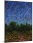 Evening Star-James W Johnson-Mounted Giclee Print