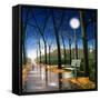 Evening Stroll-Tina Palmer-Framed Stretched Canvas