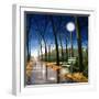 Evening Stroll-Tina Palmer-Framed Giclee Print