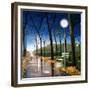 Evening Stroll-Tina Palmer-Framed Giclee Print