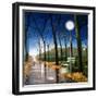 Evening Stroll-Tina Palmer-Framed Giclee Print