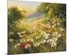 Evening Sun-Mary Dipnall-Mounted Giclee Print