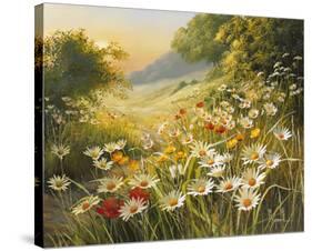 Evening Sun-Mary Dipnall-Stretched Canvas