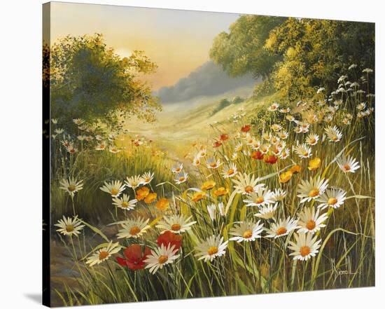 Evening Sun-Mary Dipnall-Stretched Canvas