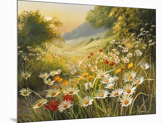 Evening Sun-Mary Dipnall-Mounted Premium Giclee Print