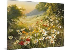 Evening Sun-Mary Dipnall-Mounted Premium Giclee Print