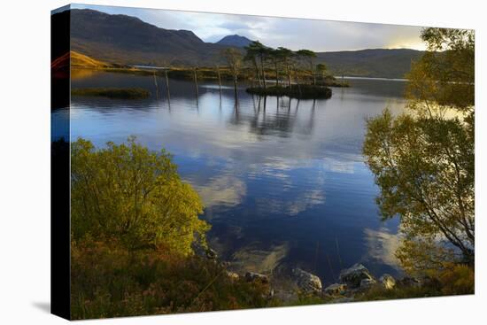 Evening Sunlight, Loch Assynt, National Nature Reserve, Sutherland, Highlands, Scotland, UK-Peter Richardson-Stretched Canvas