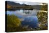 Evening Sunlight, Loch Assynt, National Nature Reserve, Sutherland, Highlands, Scotland, UK-Peter Richardson-Stretched Canvas