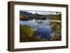 Evening Sunlight, Loch Assynt, National Nature Reserve, Sutherland, Highlands, Scotland, UK-Peter Richardson-Framed Photographic Print