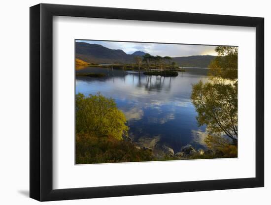 Evening Sunlight, Loch Assynt, National Nature Reserve, Sutherland, Highlands, Scotland, UK-Peter Richardson-Framed Photographic Print