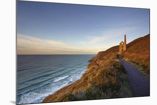 Evening sunlight on the ruins of a tin mine, on the Atlantic coast of Cornwall-Nigel Hicks-Mounted Photographic Print