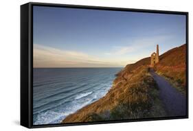 Evening sunlight on the ruins of a tin mine, on the Atlantic coast of Cornwall-Nigel Hicks-Framed Stretched Canvas