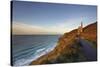 Evening sunlight on the ruins of a tin mine, on the Atlantic coast of Cornwall-Nigel Hicks-Stretched Canvas