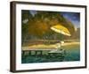 Evening Swim II-null-Framed Art Print