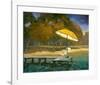 Evening Swim II-null-Framed Art Print