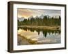 Evening Swim-Jason J. Hatfield-Framed Premium Photographic Print