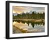 Evening Swim-Jason J. Hatfield-Framed Premium Photographic Print