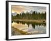 Evening Swim-Jason J. Hatfield-Framed Photographic Print